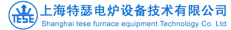 上海特瑟電爐設(shè)備技術(shù)有限公司